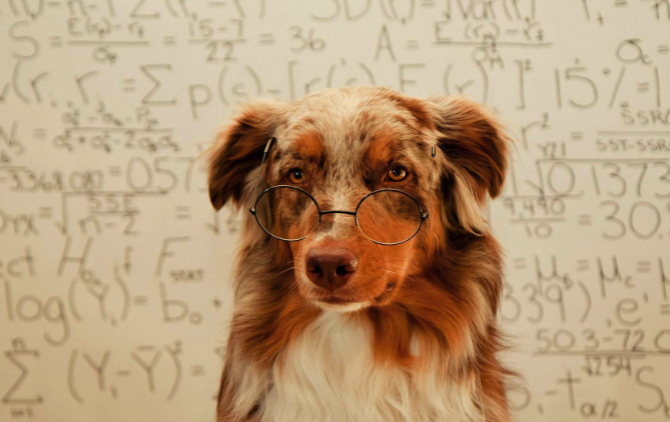 ʮ�������������һ����Ը����