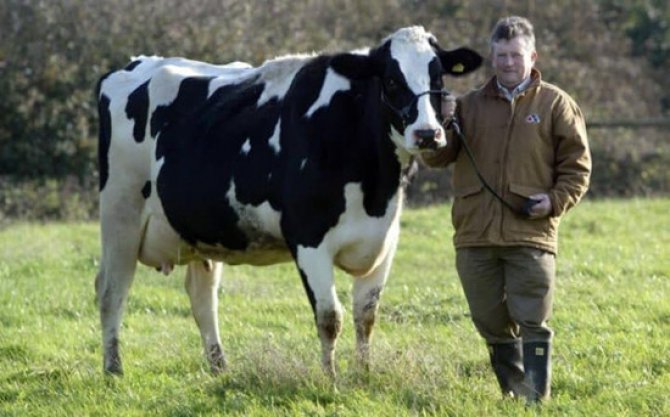 ���ﹷ������������ײ������