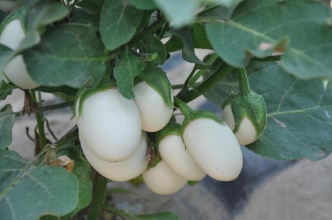 �������ܳ������ˣ��������