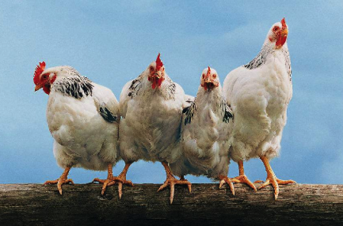 <b>�������������˺ö༦�����������</b>